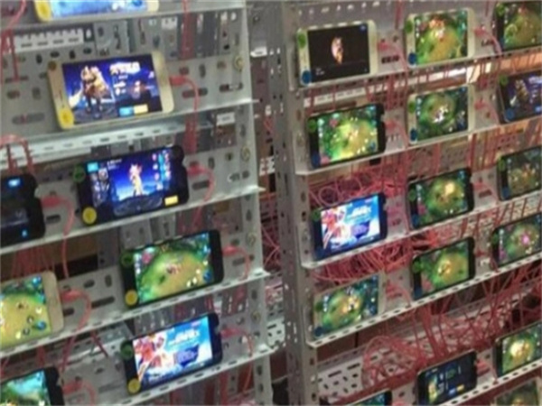 44649493.jpg 101.jpg