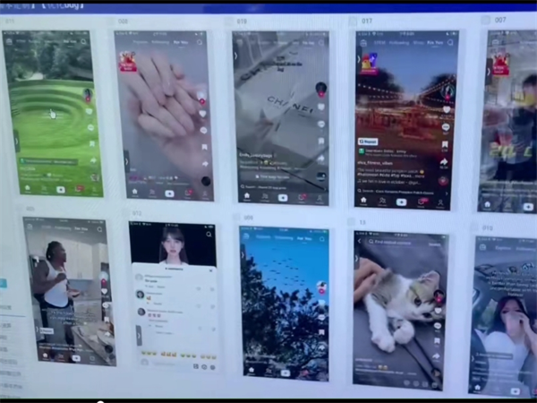 34358823.png 335.png