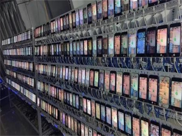 26767965.jpg 126.jpg