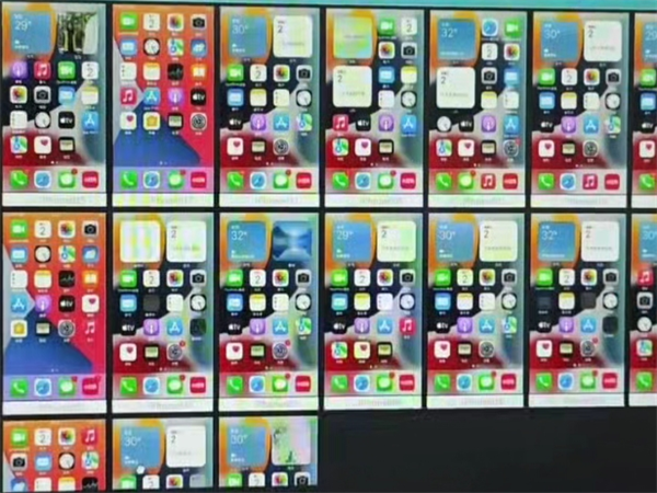 48799136.png 235.png