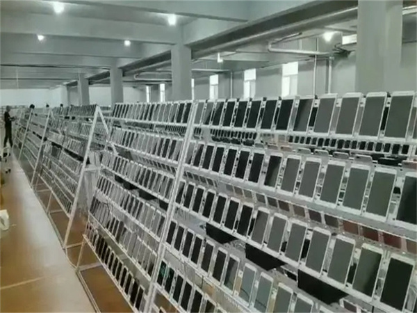 1720166173699286.jpg 19.jpg