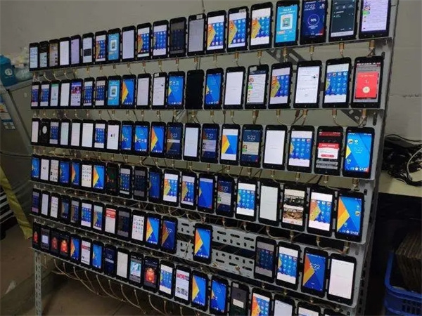 1723626116426152.jpg 113.jpg