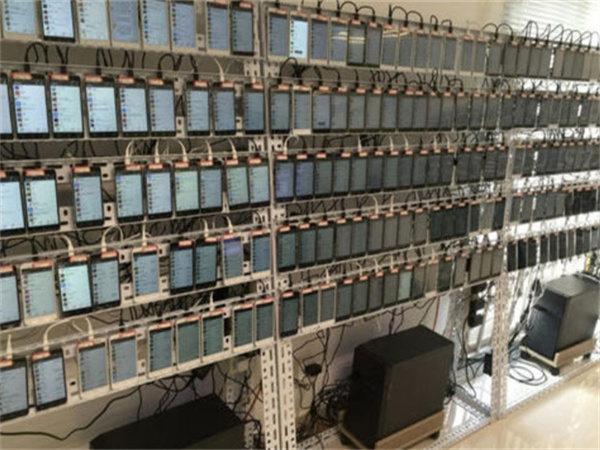 1724403707209454.jpg 65.jpg