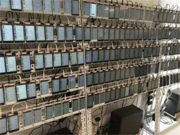 1731916231211950.jpg 40.jpg