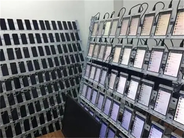 1732088981213663.jpg 66.jpg