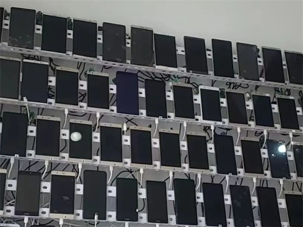 1733990279327822.jpg 3.jpg